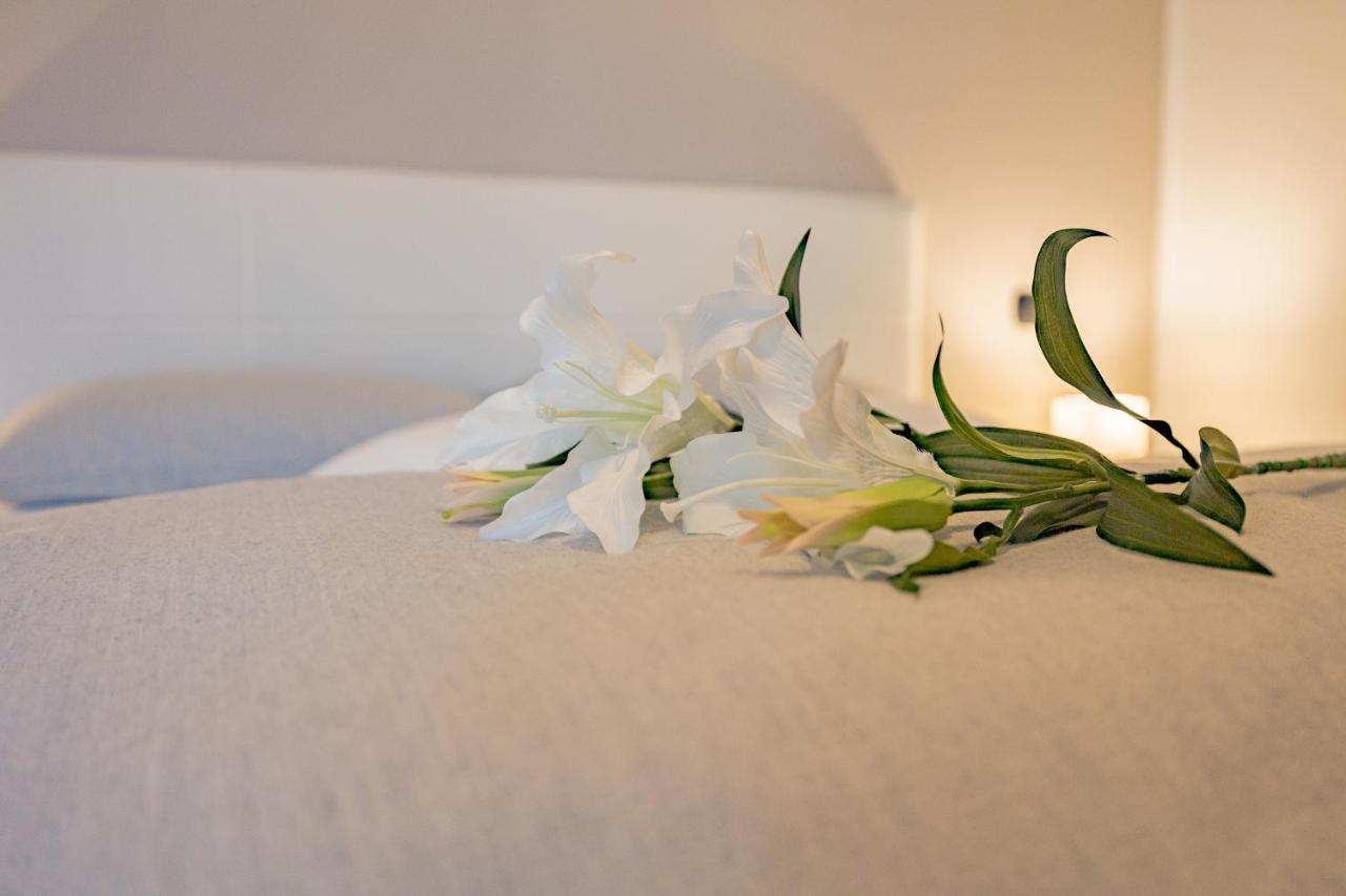 Milan Forum Camelia Guesthouse アッサーゴ エクステリア 写真